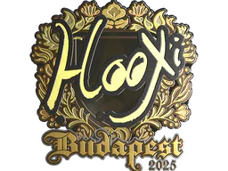 HooXi (Gold) | Budapest 2025