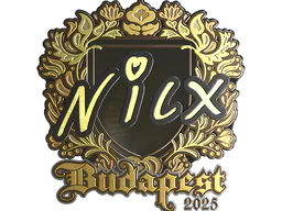 nicx (Gold) | Budapest 2025