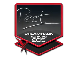 peet | Cluj-Napoca 2015