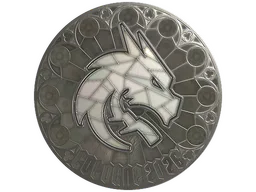 Team Spirit (Foil)