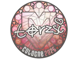 torzsi