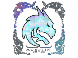 Team Spirit (Holo)