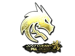 Team Spirit (Gold)