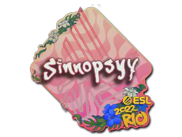 sinnopsyy