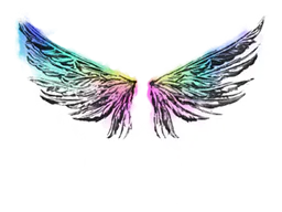 Wings
